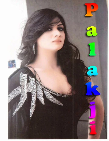 Ambala Escorts Services